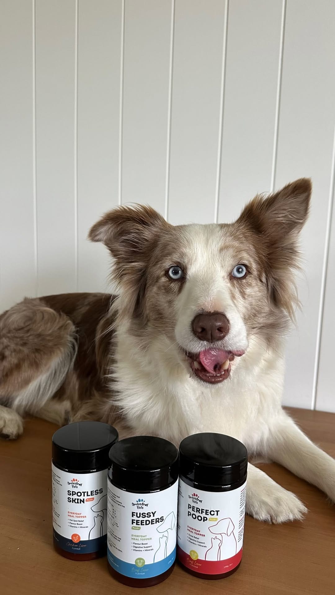 Post 1 by Nala and Winnie on Instagram (video)