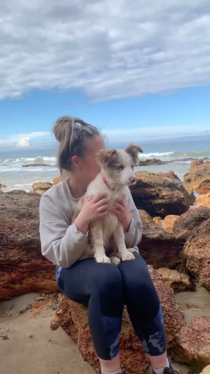 Post 9 by Nala and Winnie on Instagram (video)