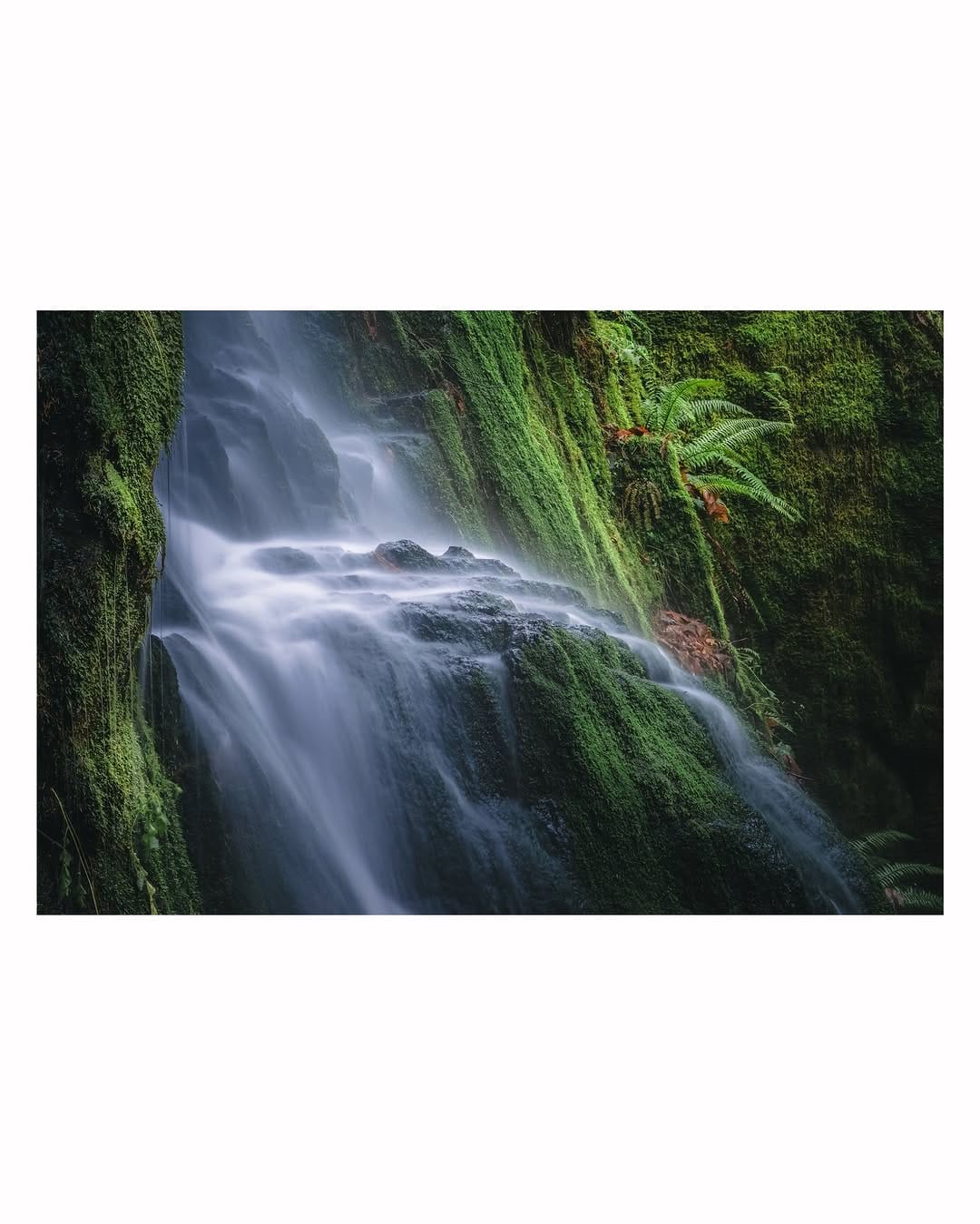 Post 6 by Robby Benn on Instagram (image)