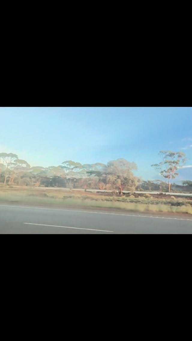 Post 6 by Cutest JRTs Rosie & Archie on Instagram (video)