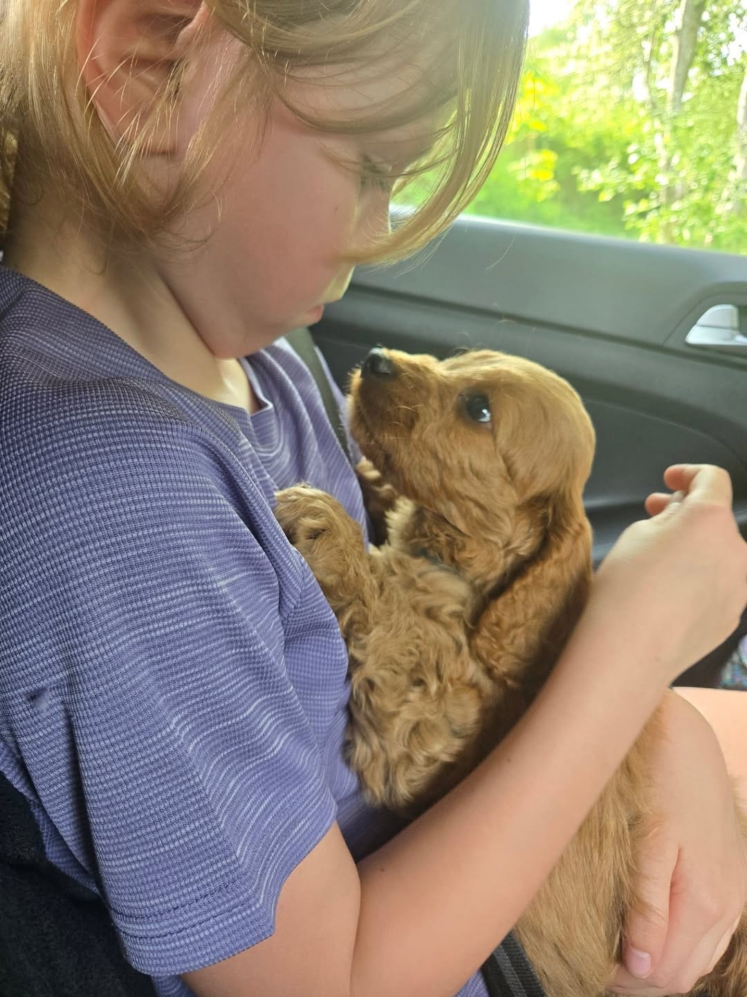 Post 4 by Little Lily Pops on Instagram (carousel)