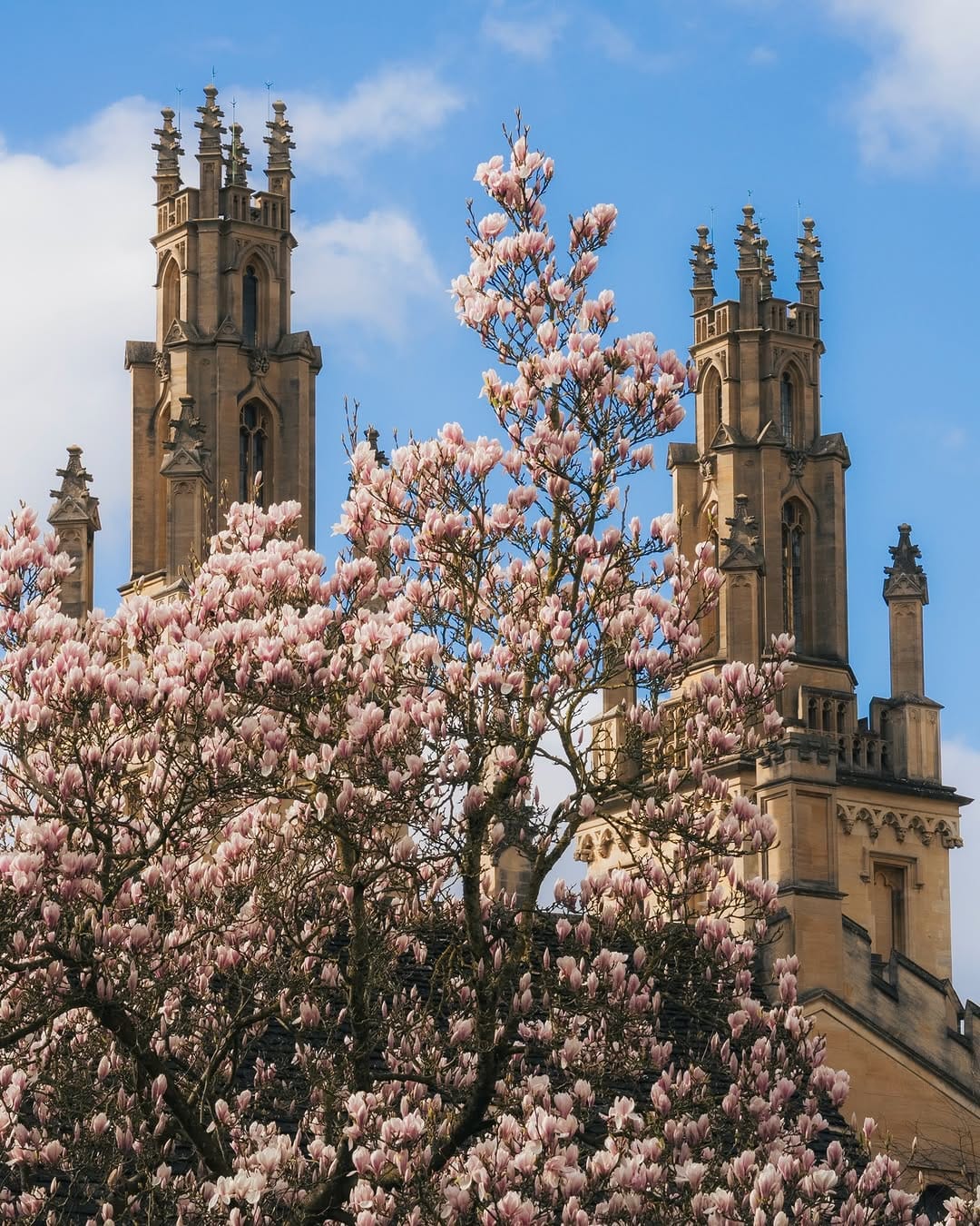 Post 9 by Graduate Study at Oxford on Instagram (carousel)