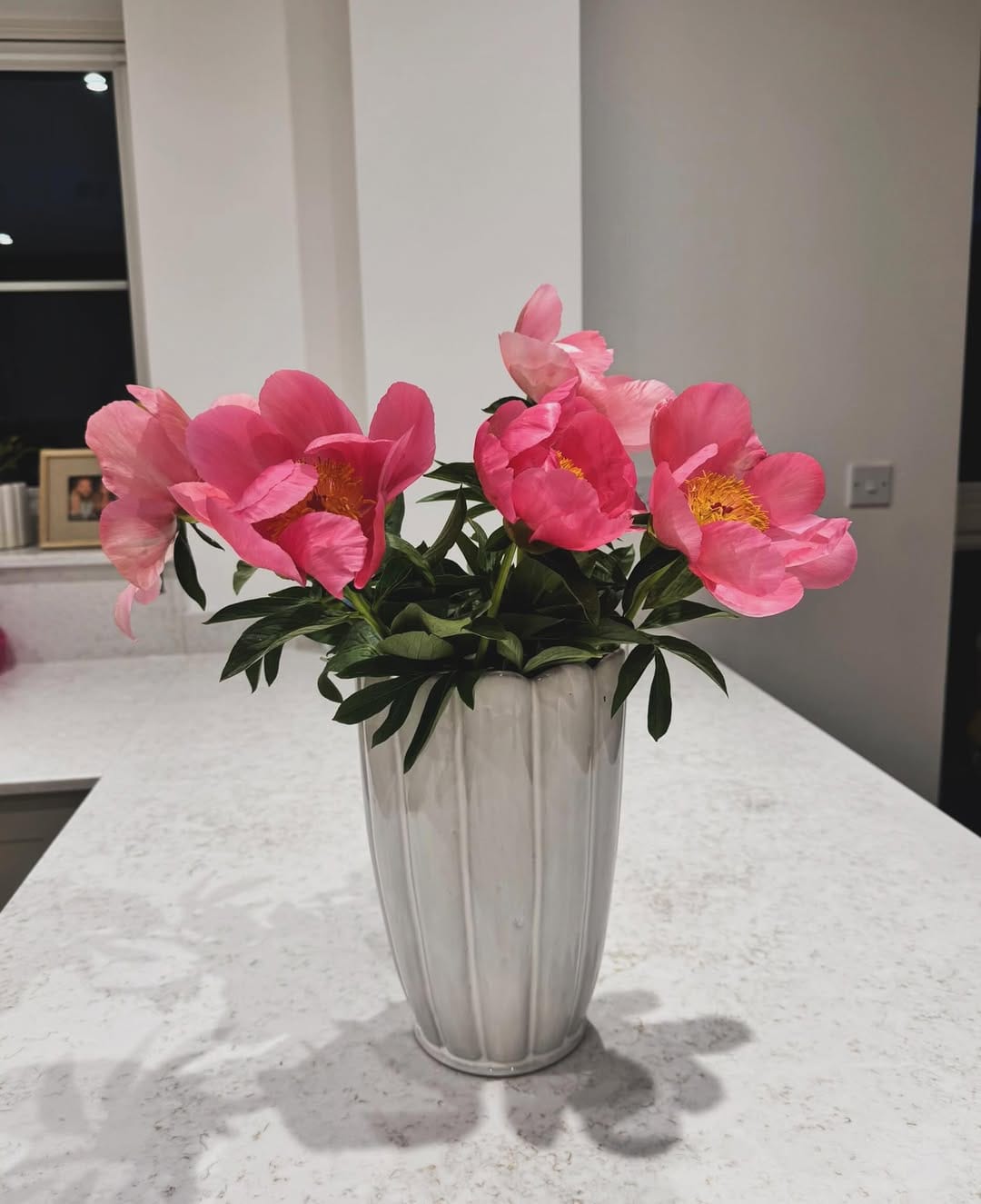 Post 4 by Elizabeth Fox 🦊 🏡 on Instagram (image)