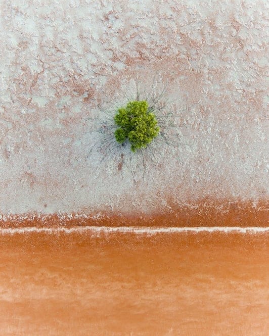 Post 8 by Broome • Yane on Instagram (image)