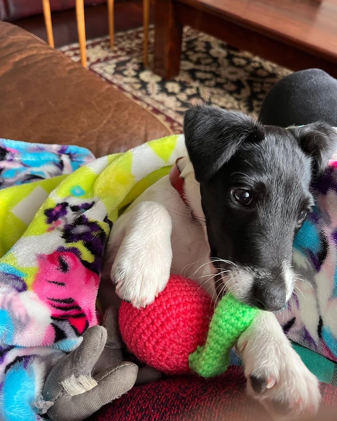 Post 7 by Terese on Instagram (carousel)
