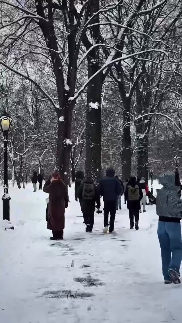 Post 3 by Leo Andres Barbuto on Instagram (video)