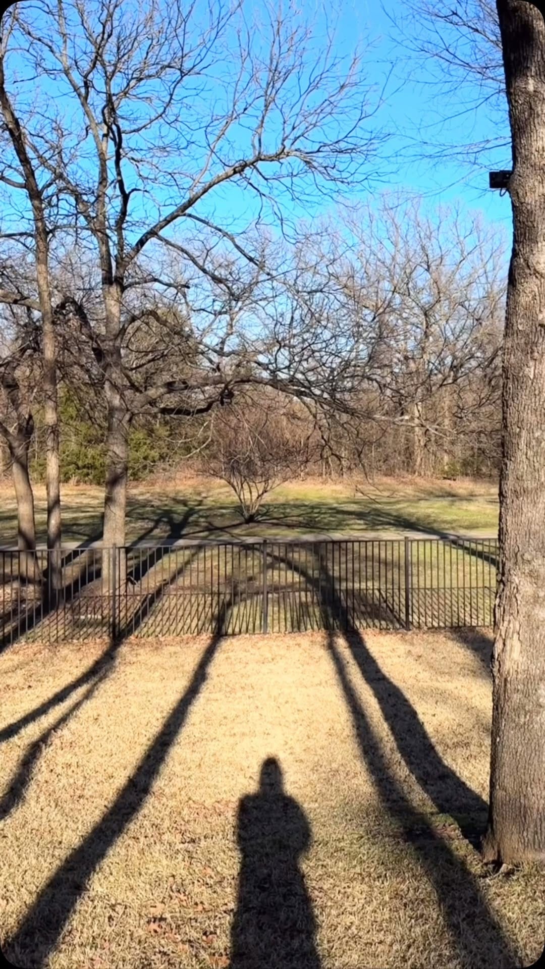 Post 6 by Leo Andres Barbuto on Instagram (video)