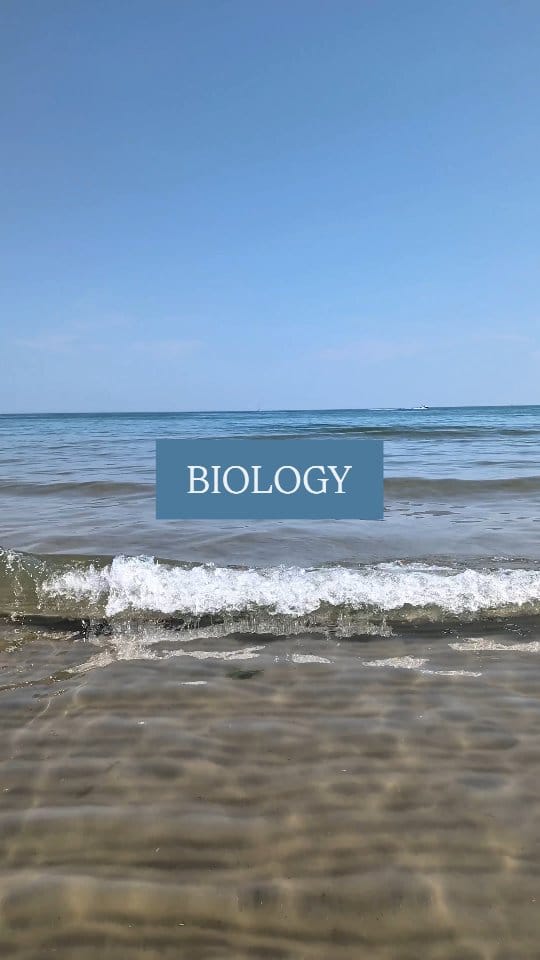 Post 1 by Poppy's Tutoring Company - Online & In Person Tailored Tuition on Instagram (video)
