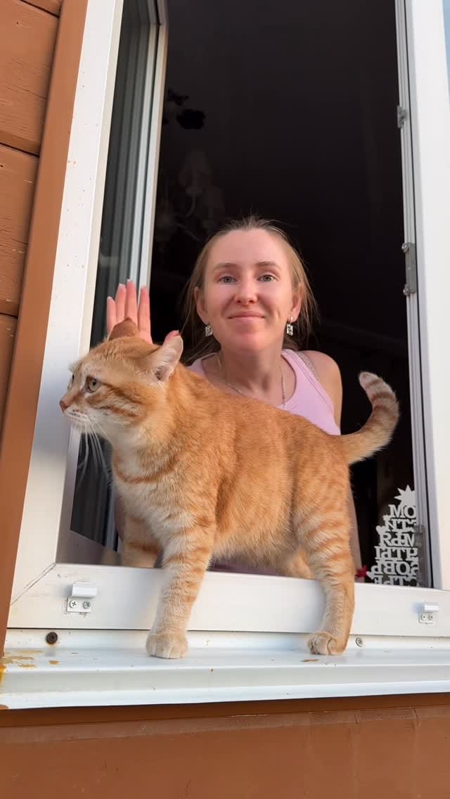 Post 6 by 🐱 КОТ ПАНТИЛИМОН 🐱САМЫЙ РЫЖИЙ БЛОГ🧡🧡🧡 on Instagram (video)