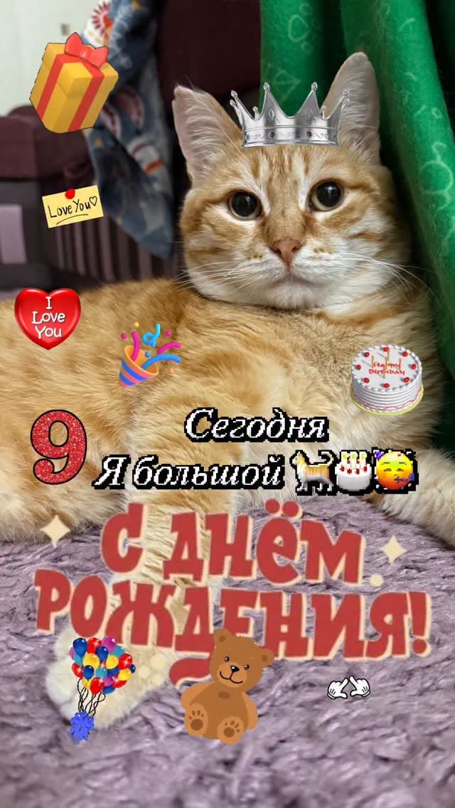 Post 10 by 🐱 КОТ ПАНТИЛИМОН 🐱САМЫЙ РЫЖИЙ БЛОГ🧡🧡🧡 on Instagram (video)