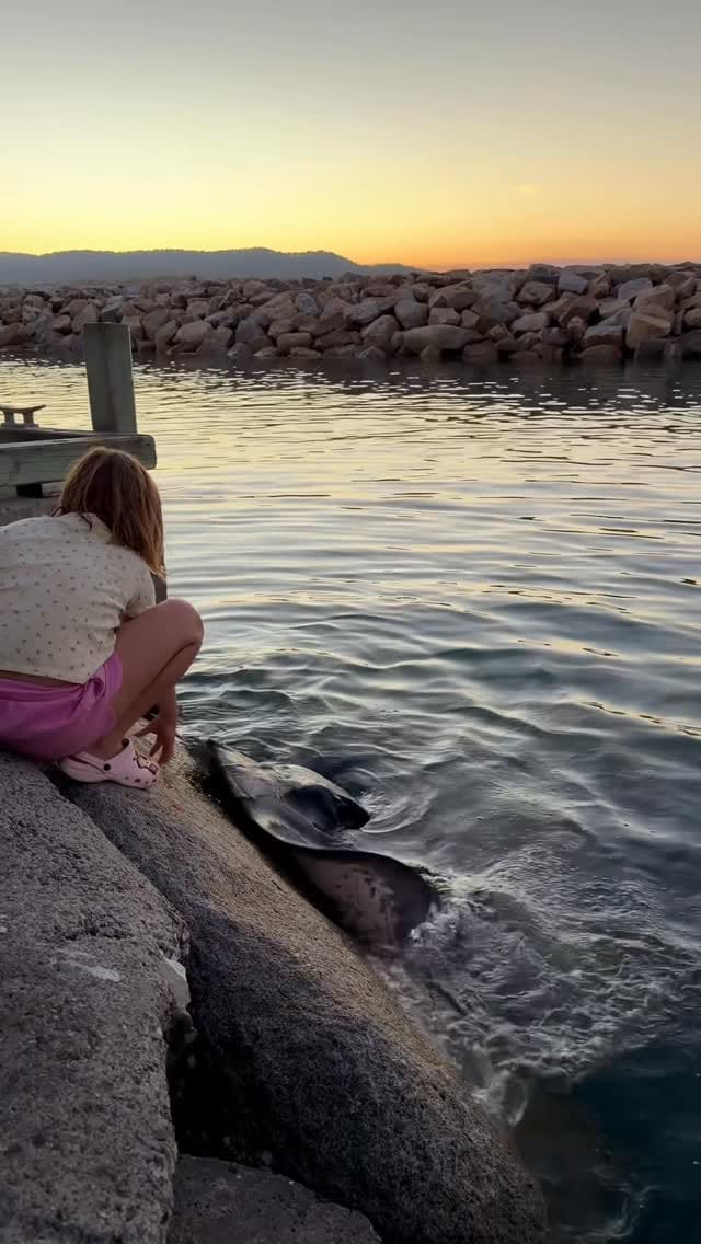 Post 1 by Undiscovered Tassie 🗺 🦘 on Instagram (video)