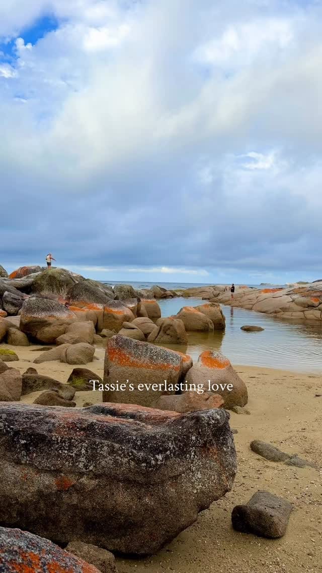 Post 4 by Undiscovered Tassie 🗺 🦘 on Instagram (video)