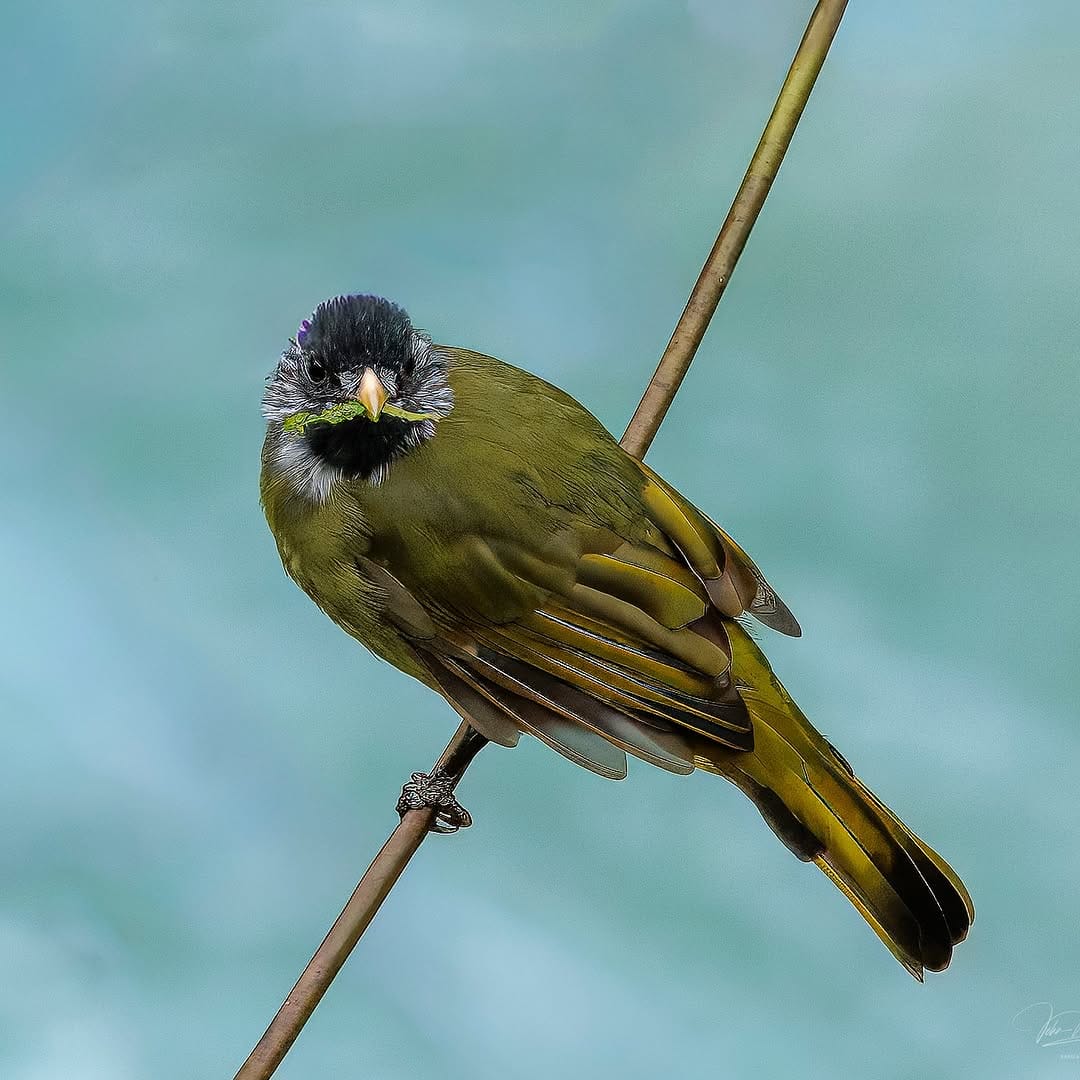 Post 5 by John Musgrave on Instagram (image)