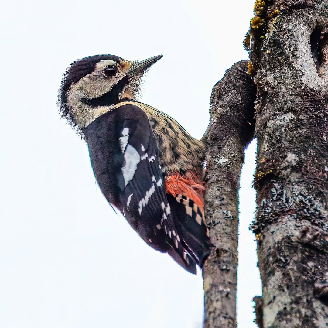 Post 8 by John Musgrave on Instagram (image)