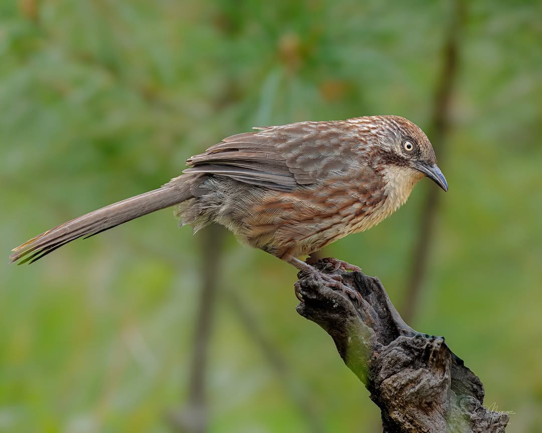 Post 1 by John Musgrave on Instagram (image)