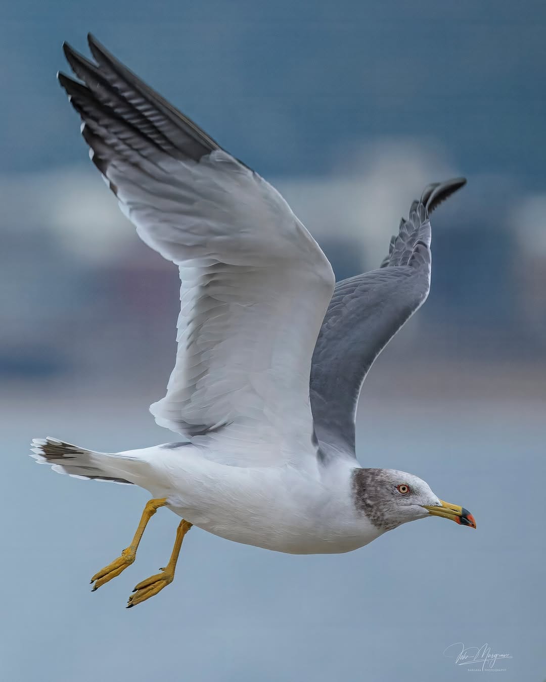 Post 3 by John Musgrave on Instagram (image)