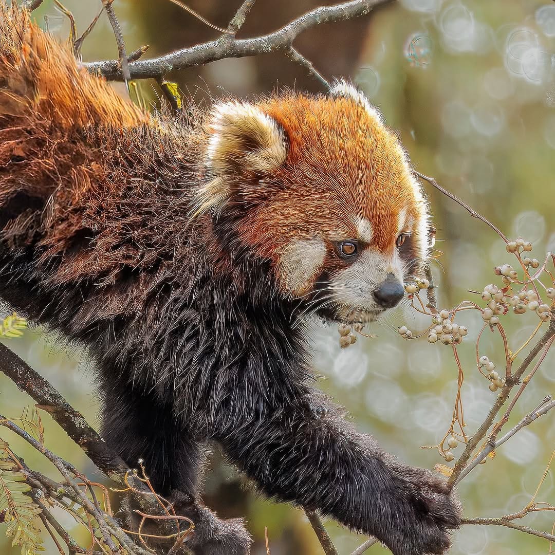 Post 4 by John Musgrave on Instagram (image)