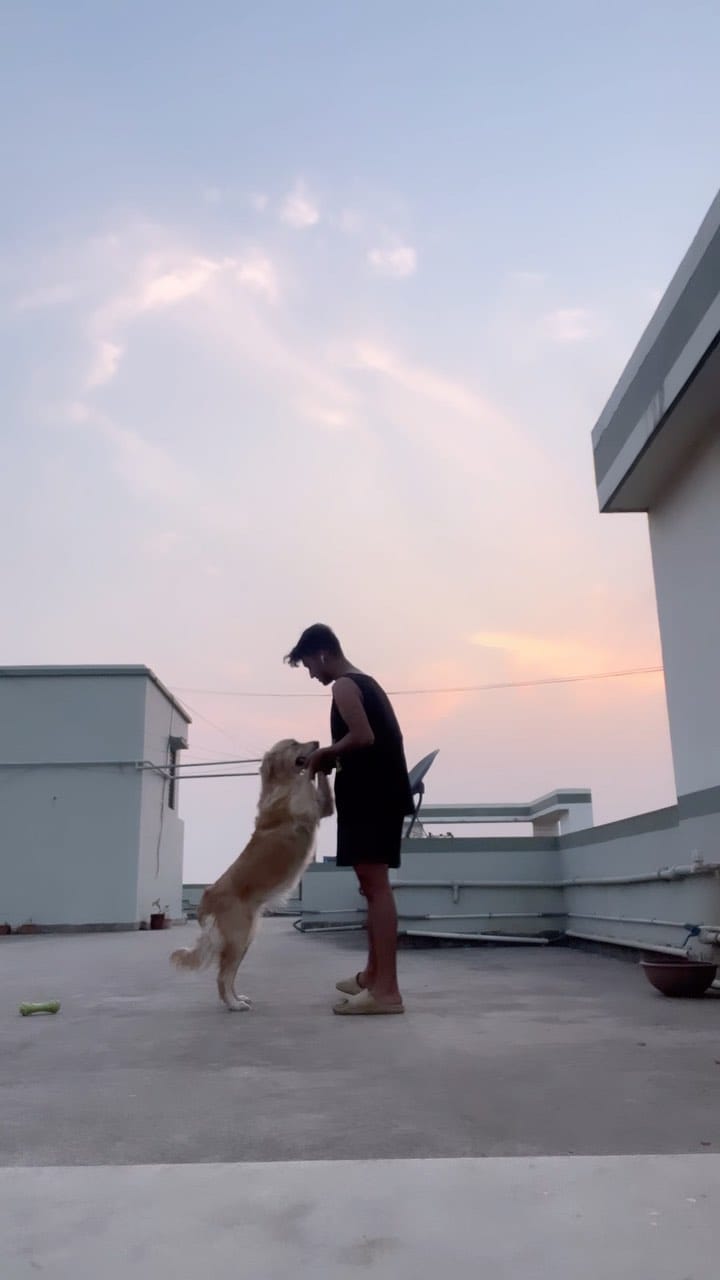 Post 9 by Tushar Mondal on Instagram (video)
