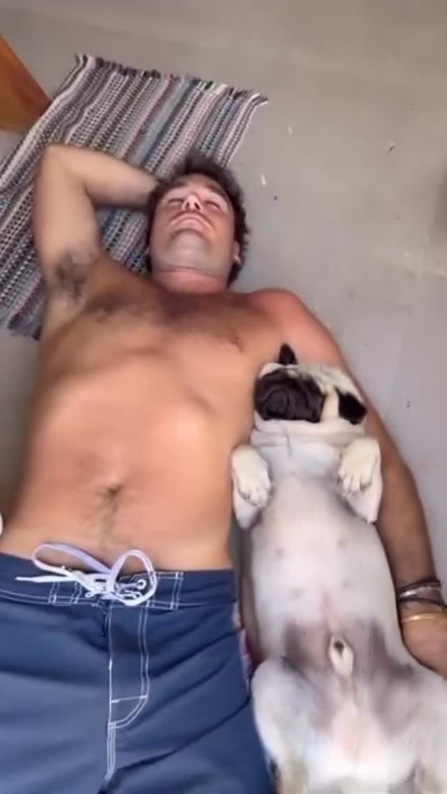 Post 6 by Leonardo The Beach Pug on Instagram (video)