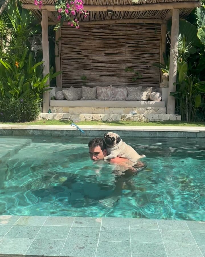 Post 9 by Leonardo The Beach Pug on Instagram (video)