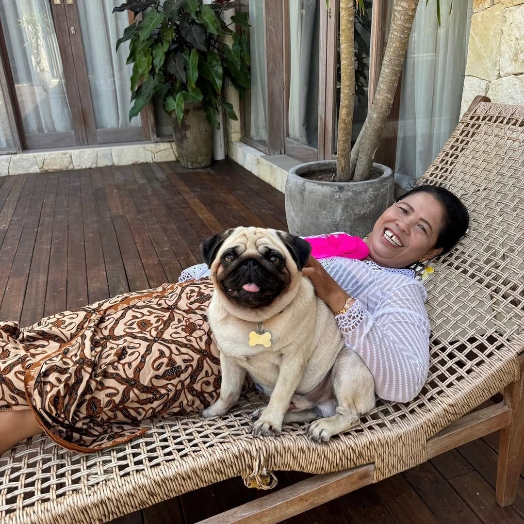 Post 2 by Leonardo The Beach Pug on Instagram (image)