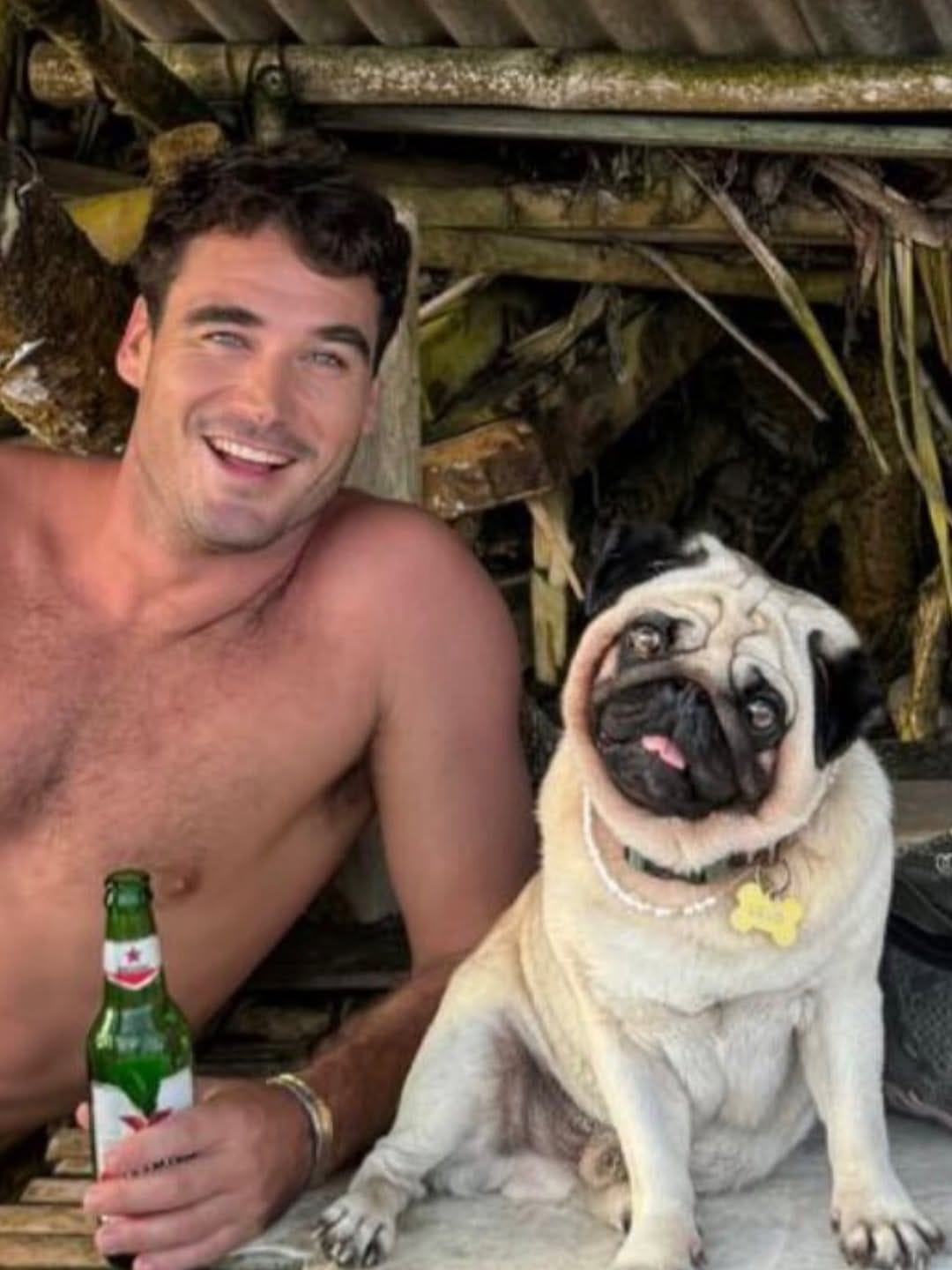 Post 4 by Leonardo The Beach Pug on Instagram (image)