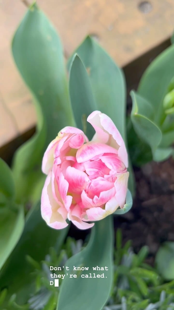 Post 9 by Victoria Emes on Instagram (video)