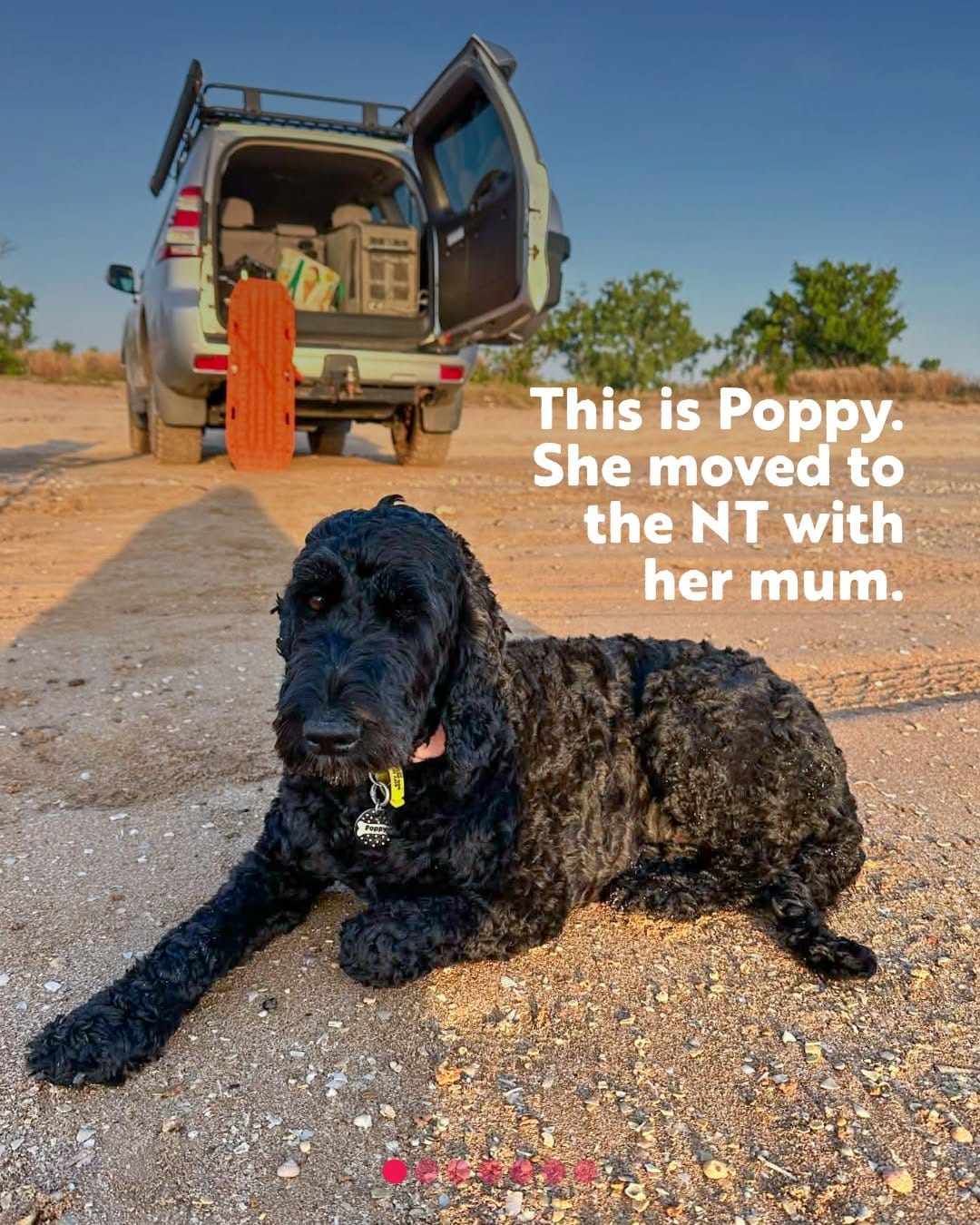 Post 8 by The Territory Australia on Instagram (carousel)