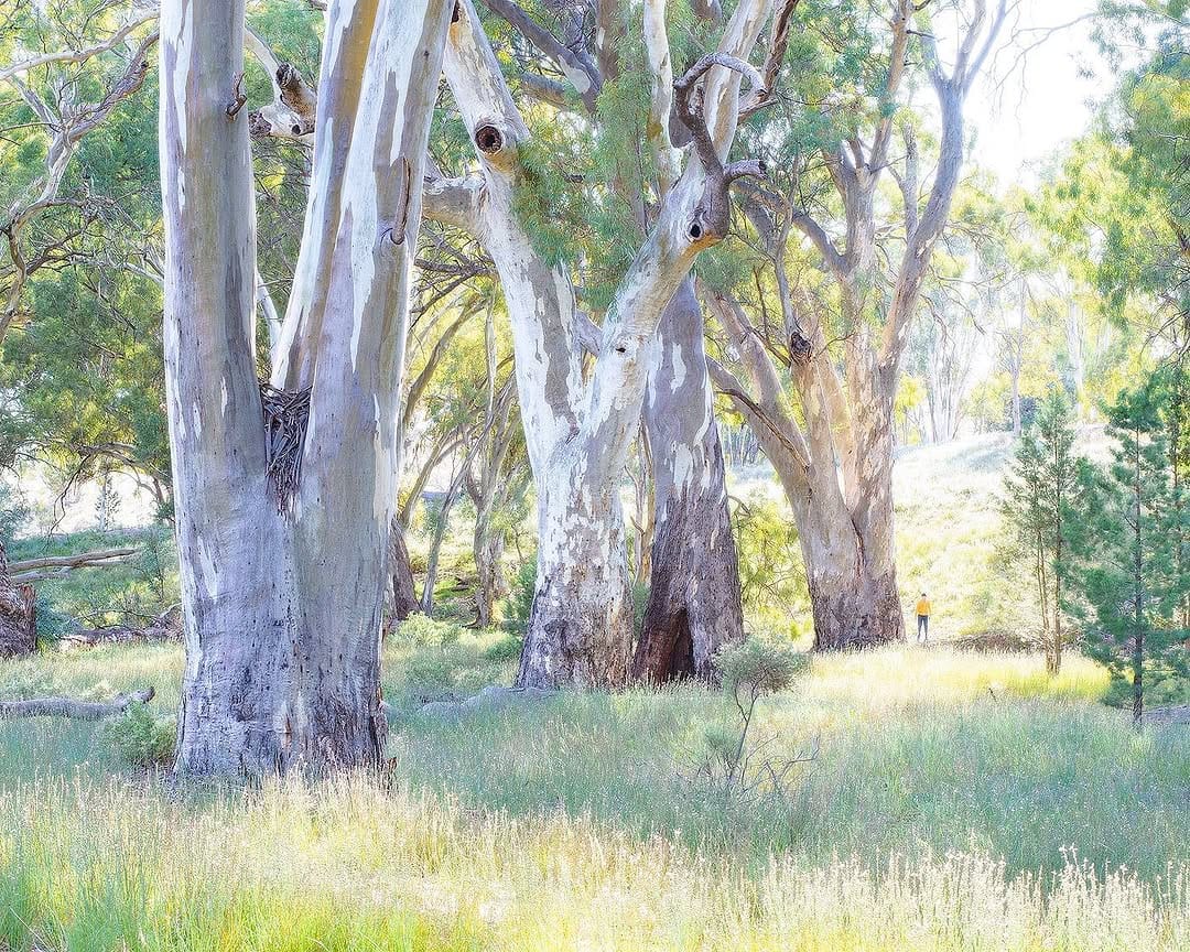 Post 4 by Joel Durbridge • Australia on Instagram (image)