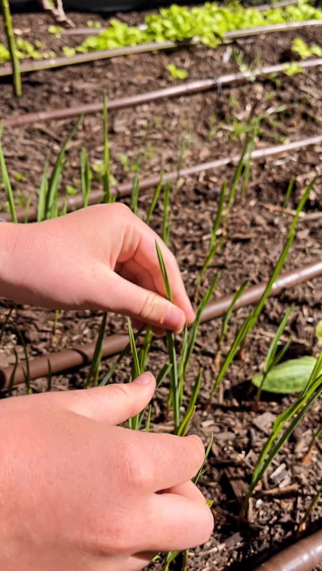 Post 1 by Mother Nature Nurture on Instagram (video)