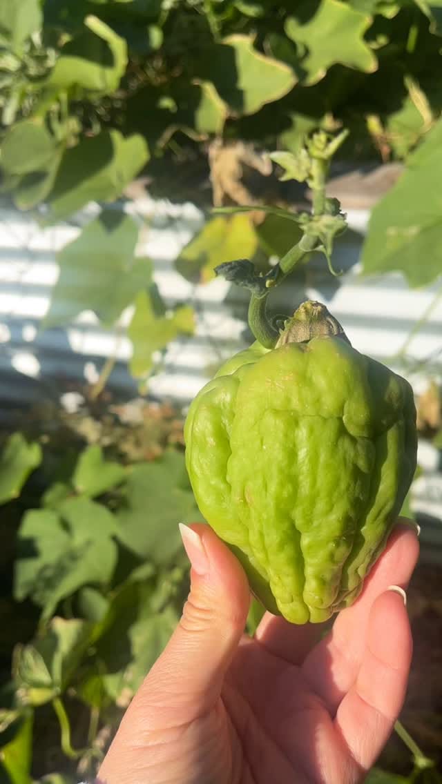 Post 10 by Mother Nature Nurture on Instagram (video)