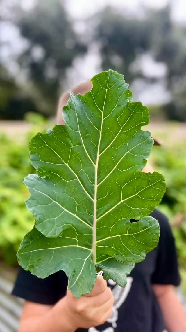 Post 2 by Mother Nature Nurture on Instagram (video)