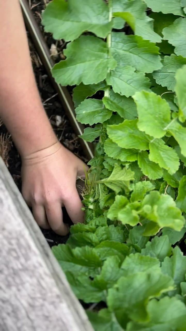 Post 6 by Mother Nature Nurture on Instagram (video)