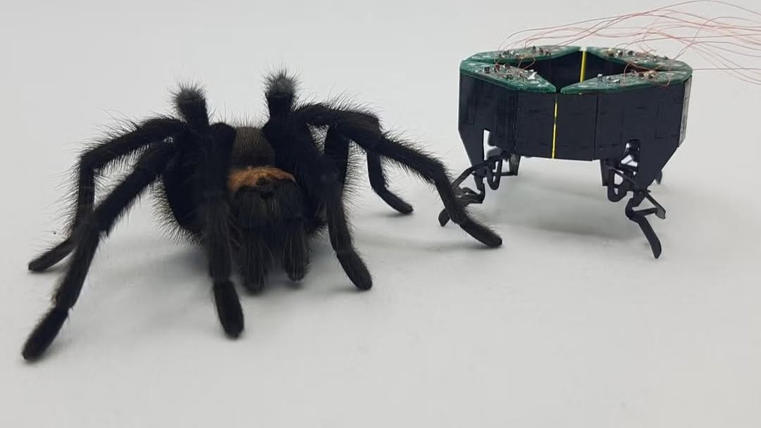 Post 8 by Oxford Robotics Institute on Instagram (image)