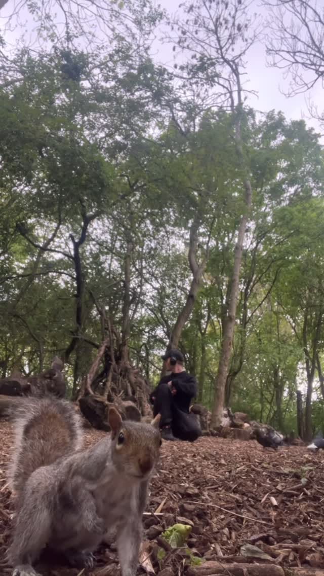 Post 5 by Barbs on Instagram (video)