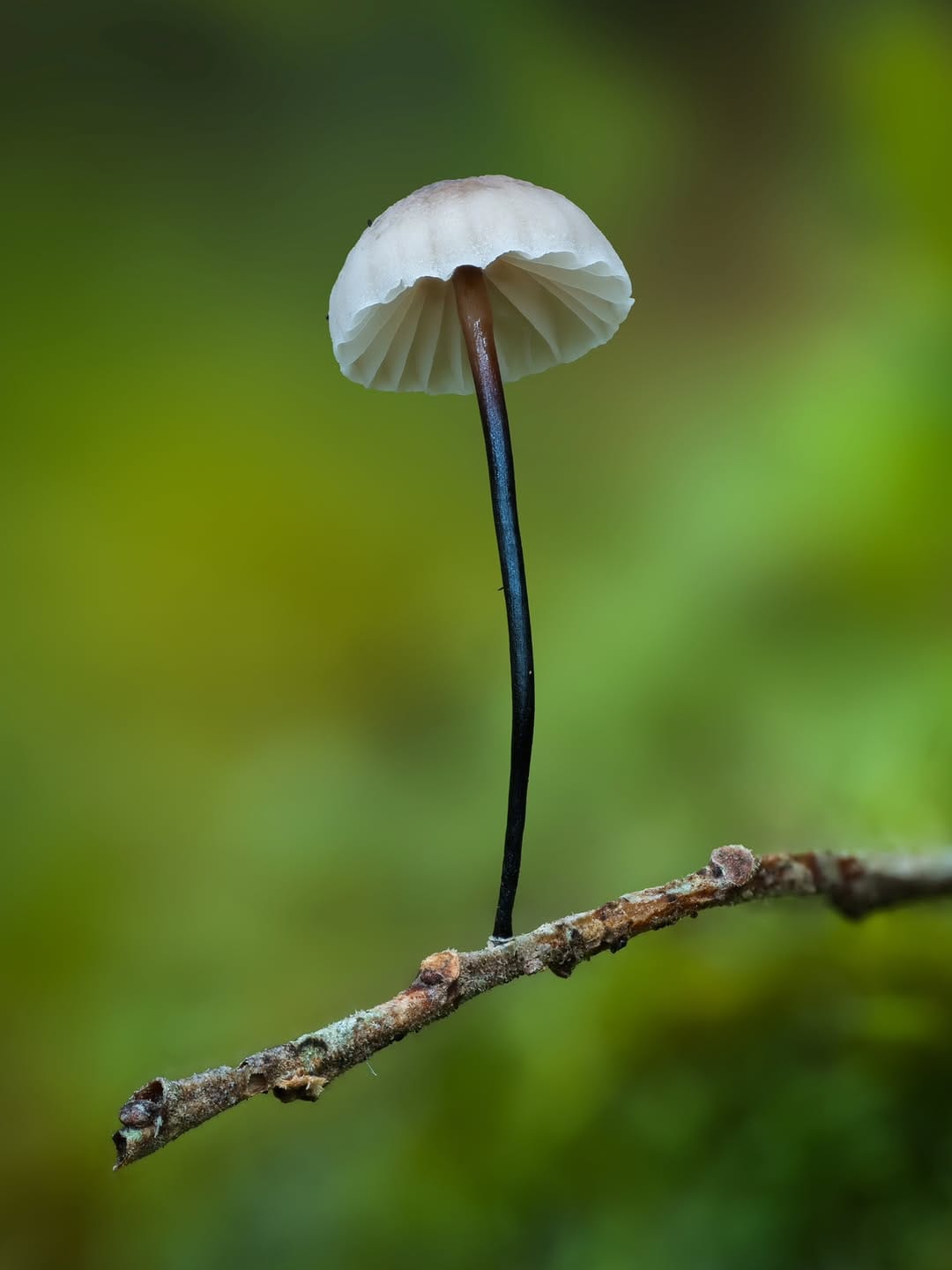 Post 9 by Tim Grimsey on Instagram (image)