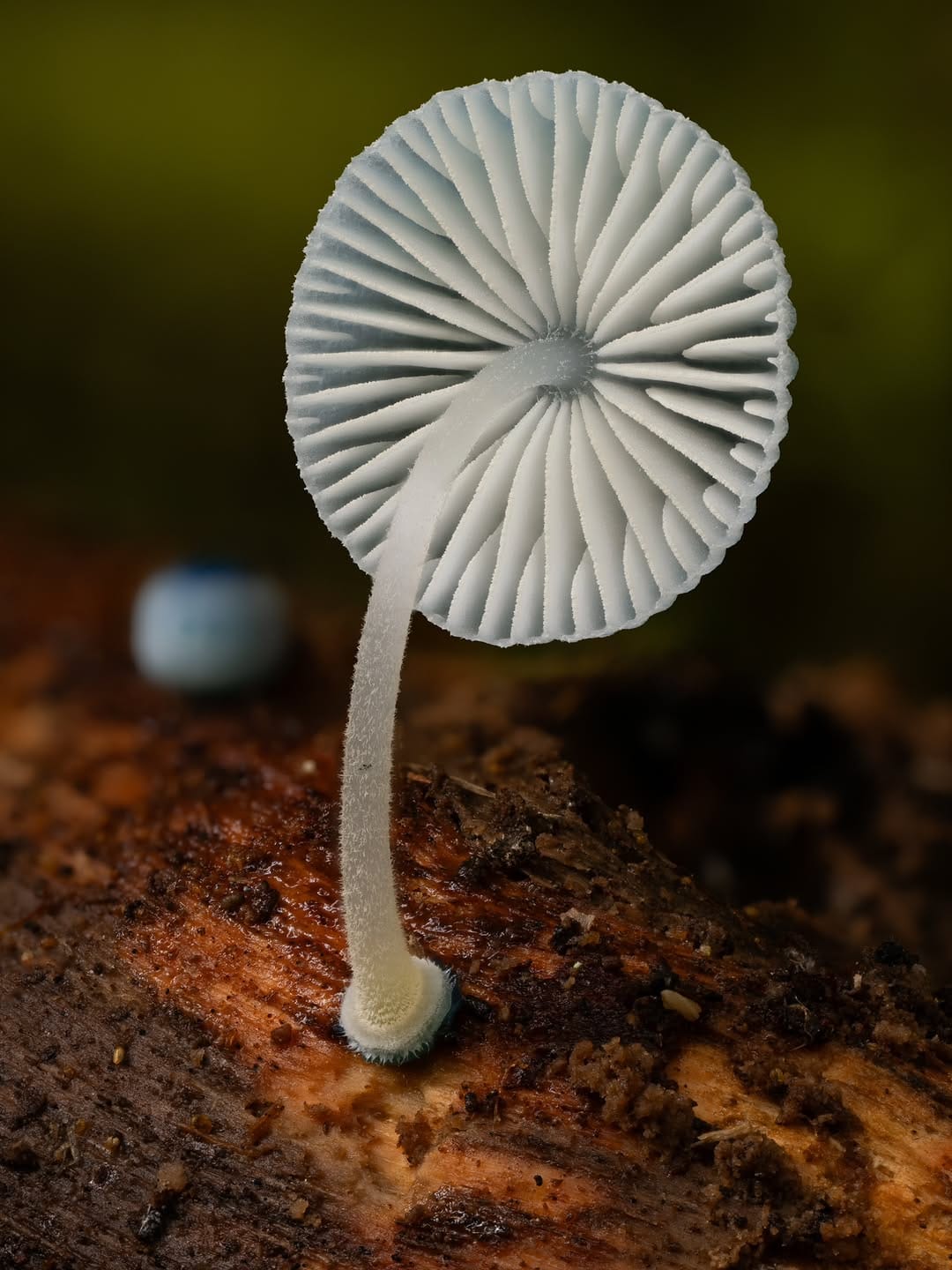 Post 3 by Tim Grimsey on Instagram (image)