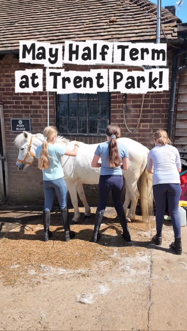 Post 2 by Trent Park Equestrian Centre on Instagram (video)