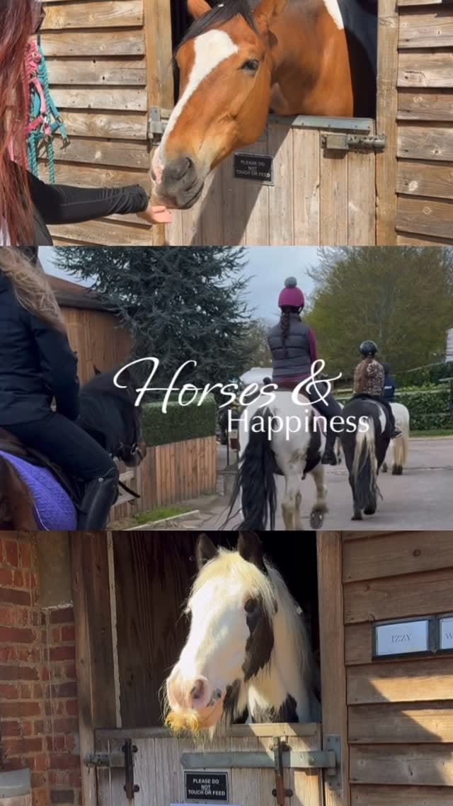 Post 6 by Trent Park Equestrian Centre on Instagram (video)