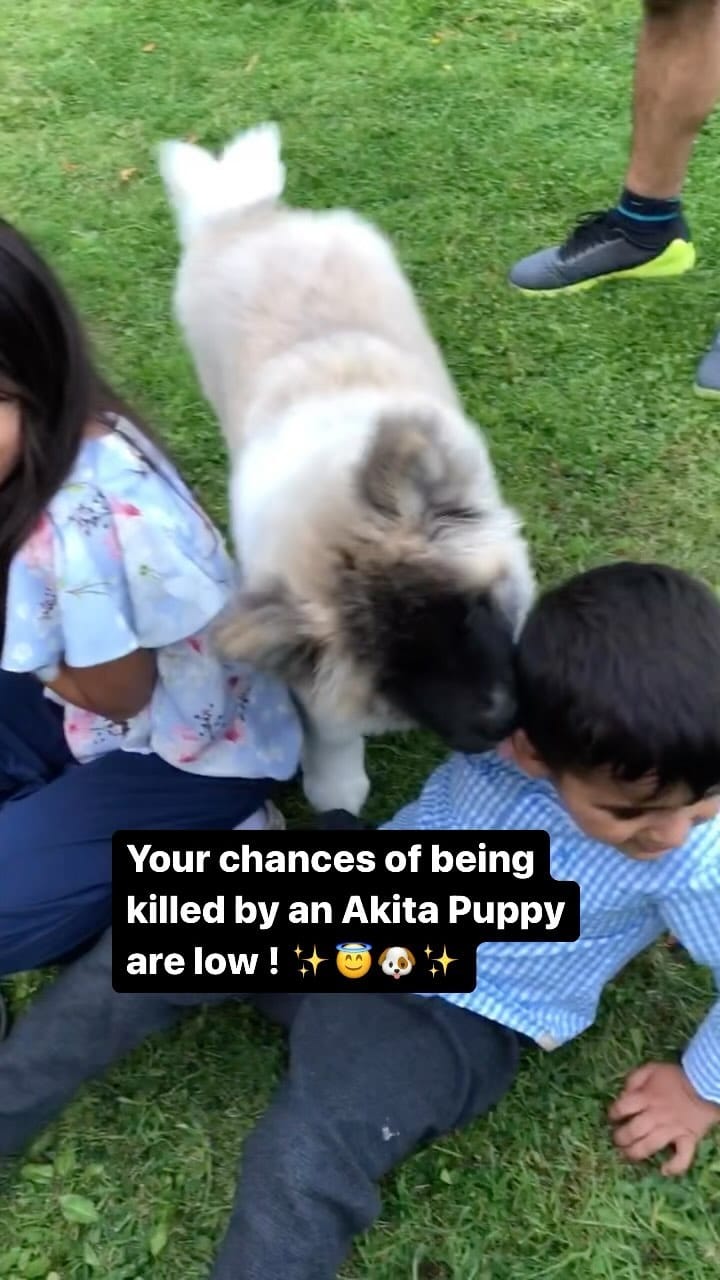 Post 6 by 3 BROTHERS&YOGI🧸 MAMA IS MANAGER🌹 on Instagram (video)