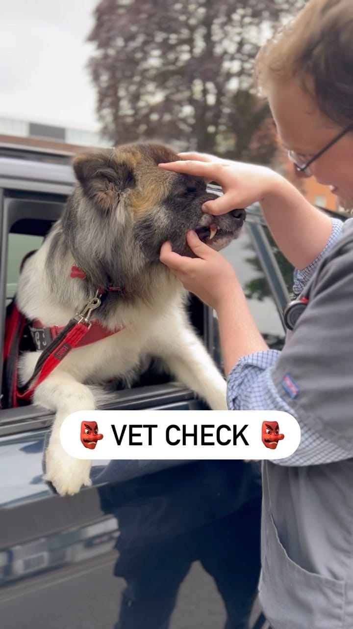 Post 4 by 3 BROTHERS&YOGI🧸 MAMA IS MANAGER🌹 on Instagram (video)