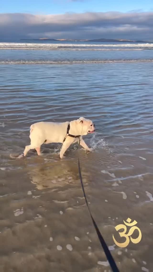 Post 1 by Tony Rose on Instagram (video)