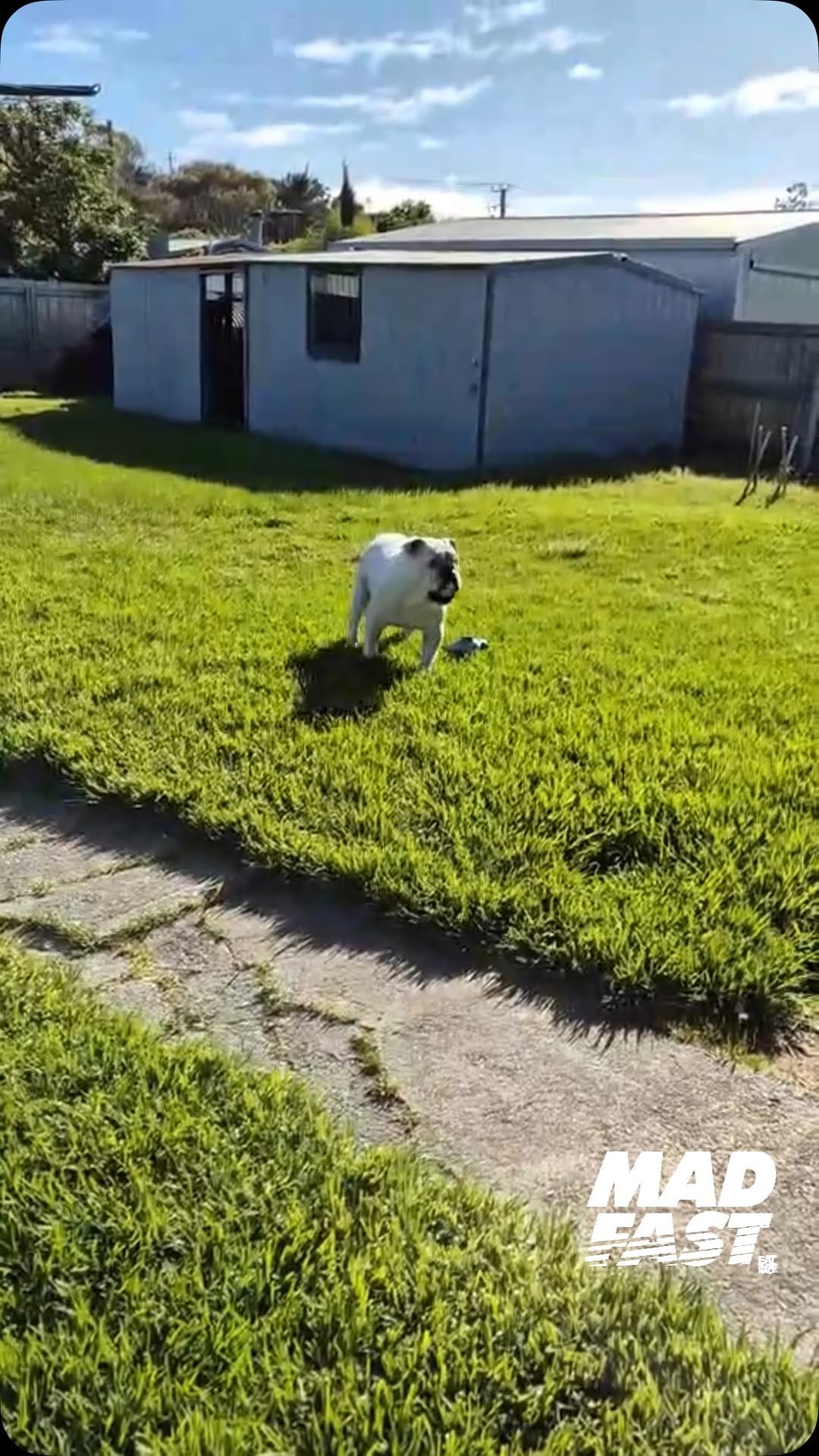 Post 3 by Tony Rose on Instagram (video)