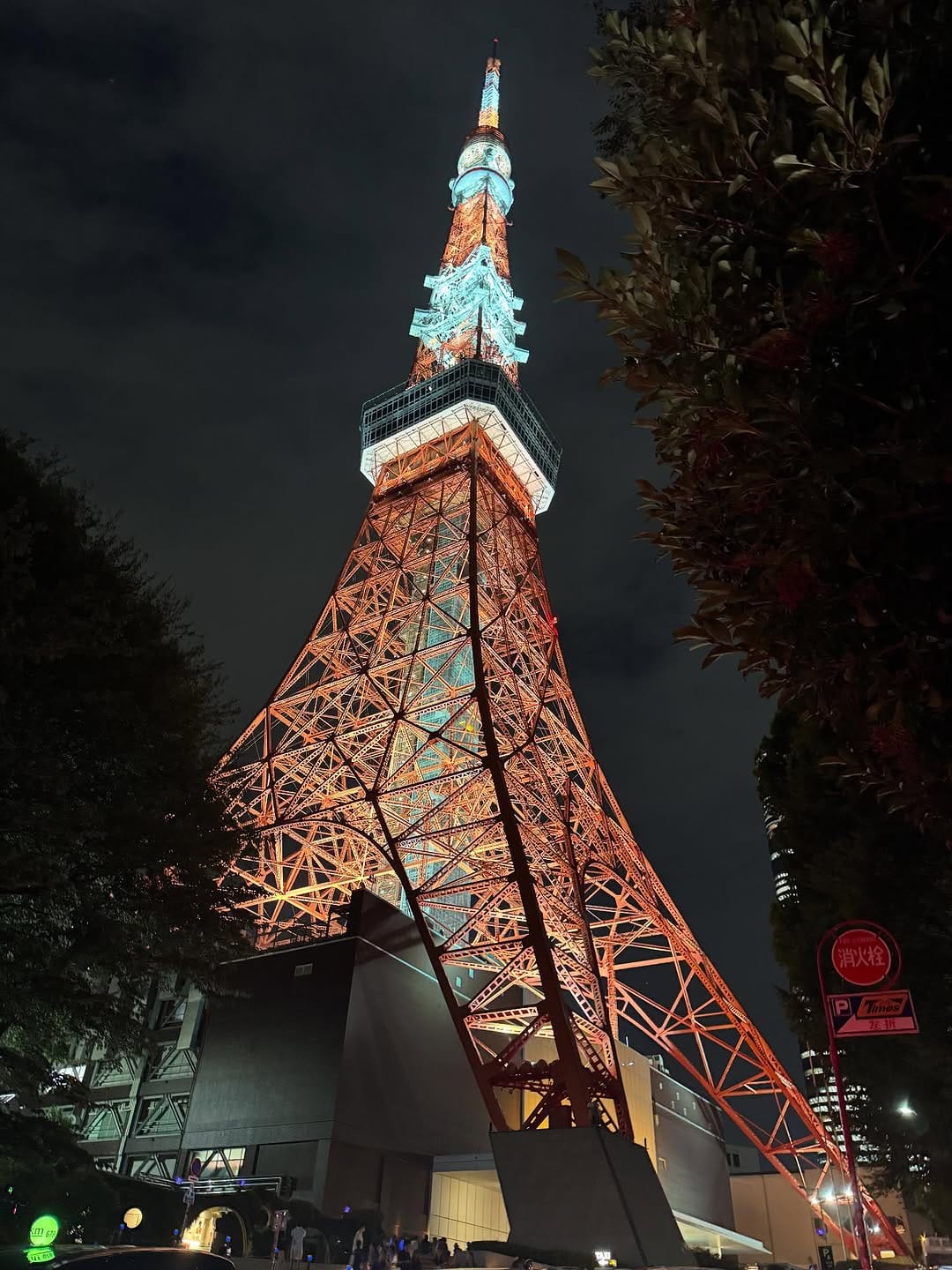 Post 1 by Cecilia Miya on Instagram (carousel)