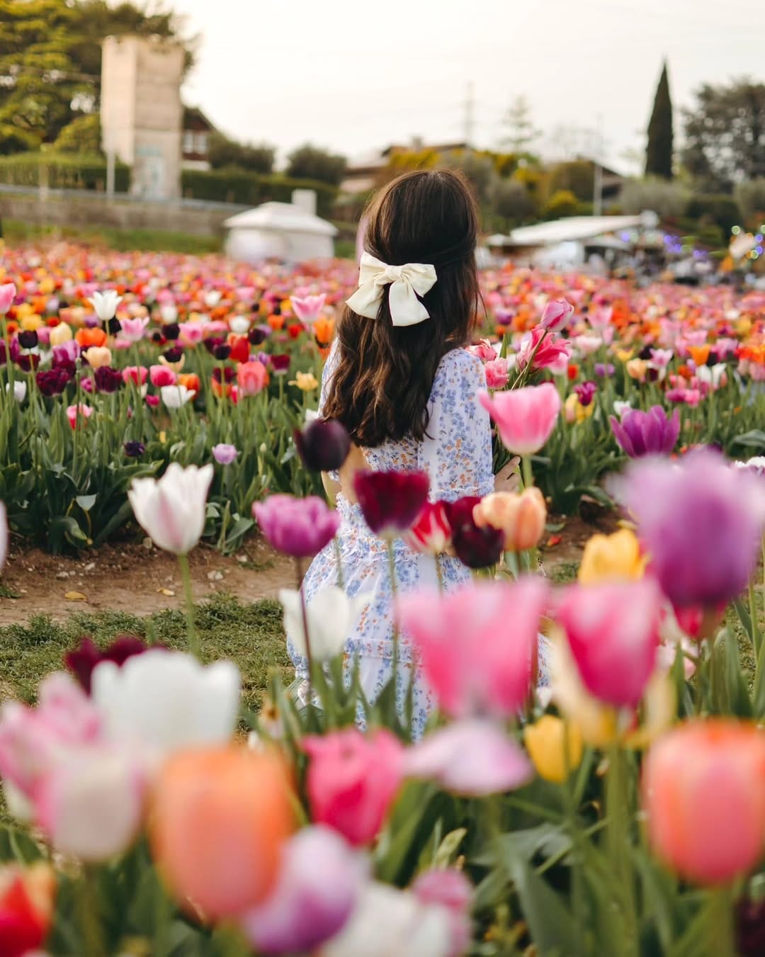 Post 6 by Vittoria Busi 💐 on Instagram (carousel)