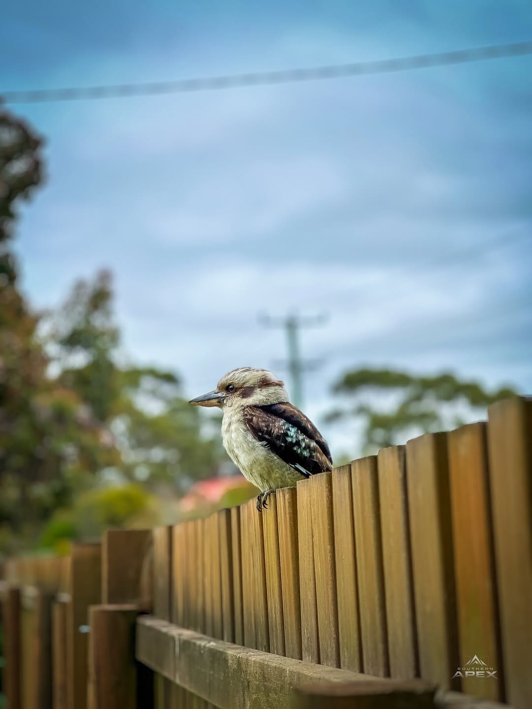 Post 7 by The Hobart / Launceston Magazine on Instagram (image)