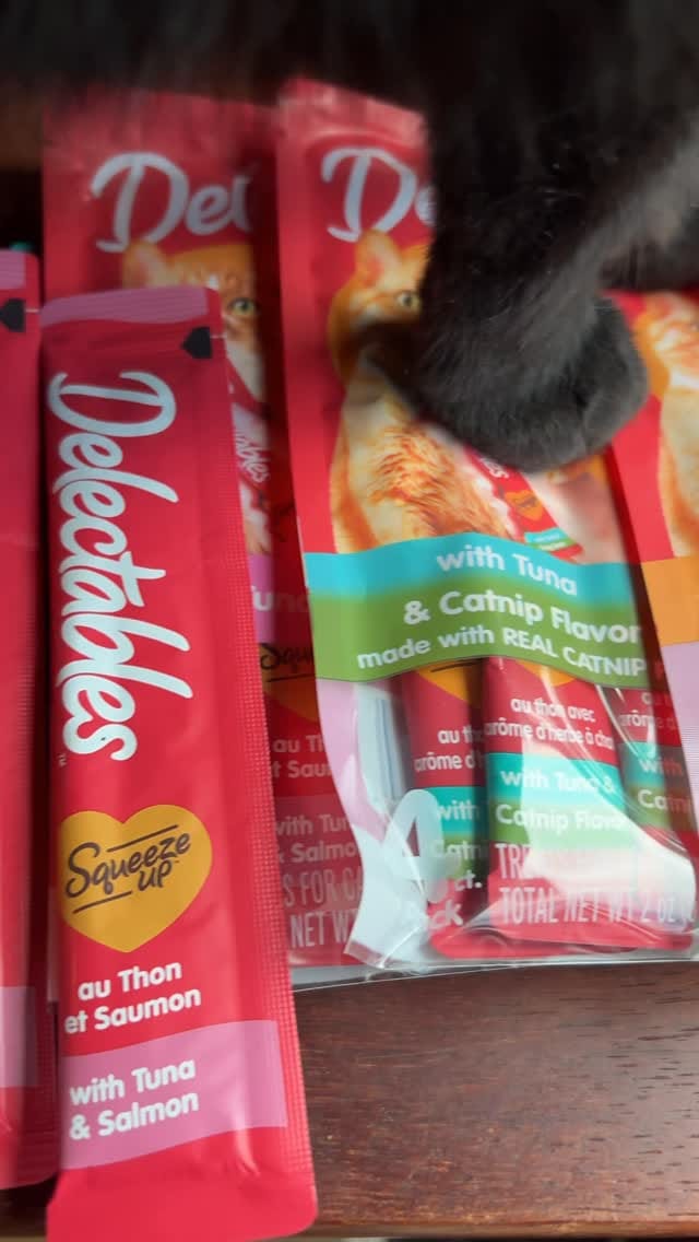 Post 2 by Willow the travelling cat on Instagram (video)