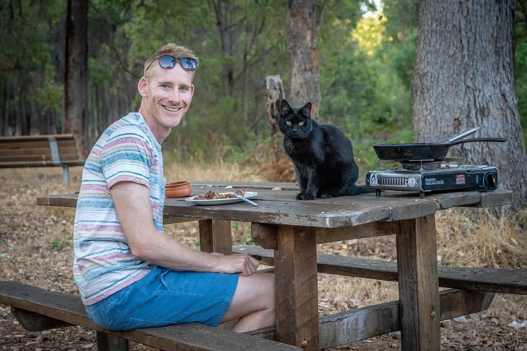 Post 3 by Willow the travelling cat on Instagram (image)
