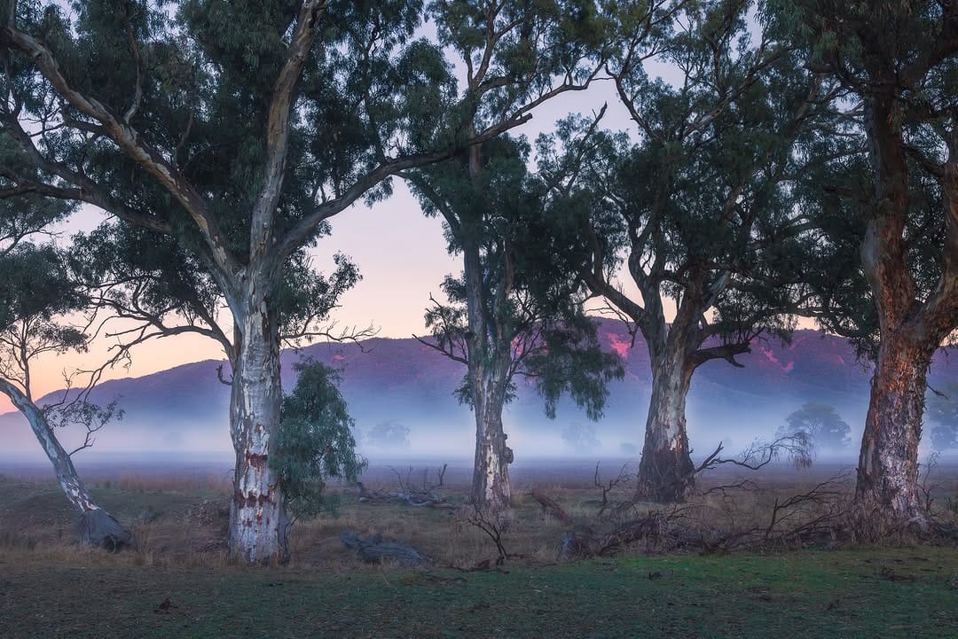 Post 4 by Michael Waterhouse Photography on Instagram (image)