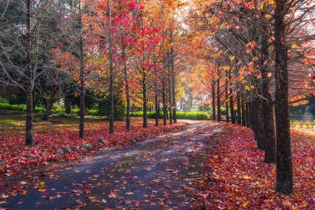 Post 7 by Michael Waterhouse Photography on Instagram (image)